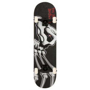 Birdhouse Complete Stage 3	Falcon 1 8.125