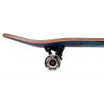 BIR-COM-2048 Birdhouse Hawk Birdman 8.0