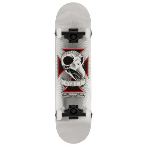 Birdhouse Complete Stage 3 Hawk Skull 2 Chrome 7.75