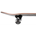 Birdhouse Complete Stage 3 Hawk Skull 2 Chrome 7.75
