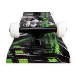 Tony Hawk SS 540 Complete Wasteland 8.0