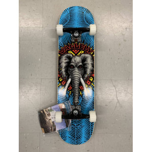 Powell Peralta Mike Vallely Elephant 8.0